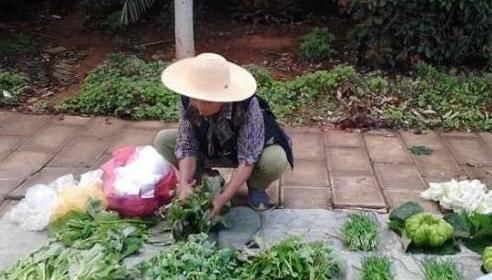  『老人』现在买农村老人摆摊菜的人越来越少了，原因是什么？