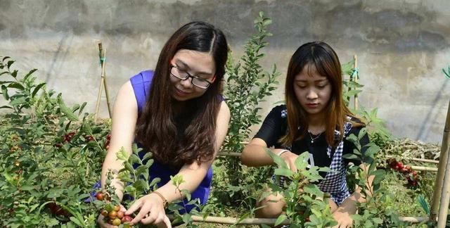  #种植#回乡创业，不知道做什么，在农村老家创业的好项目能推荐