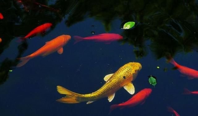  【中国】日本乡村改造给中国的启示