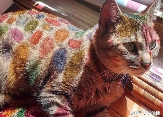 世界上最奇葩的8张照片，不要怀疑你的眼睛，真的没有PS !