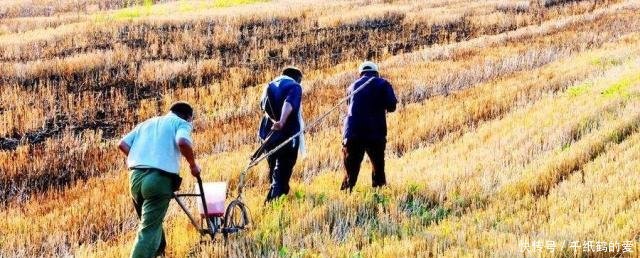  待遇@未来在农村，这4个行业的待遇会非常不错，农民了解一下