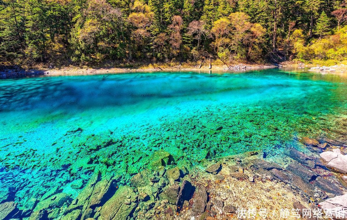 干净到可怕的湖, 100多米的湖底清晰可见, 船只犹如“飘”在空中