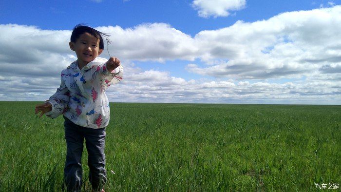 自驾RAV4荣放，蓝天白云——望无际的大草原