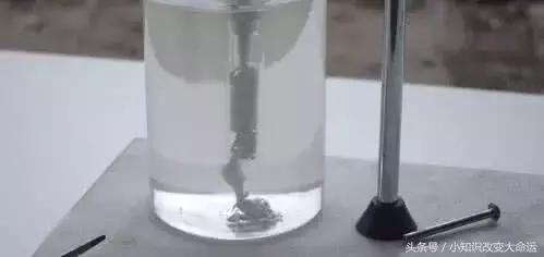 t013e6ea8c4b47e32a5.jpg