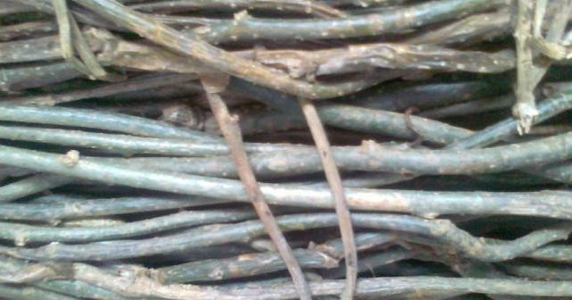  #绳子#此“绳子”，如今价值珍贵，50元一斤，你们认识吗？