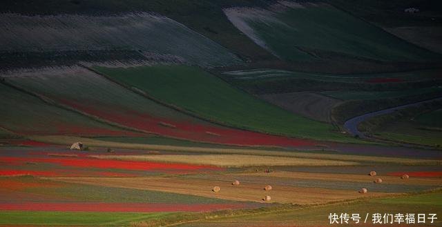 五一小长假你想去哪儿为你盘点全球醉美花海绚烂宛若人间仙境