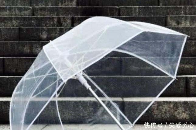  [意保护你免受风雨]心理测试：假如突降暴雨你会选哪把伞？测出谁愿意为你遮风挡雨？