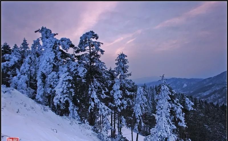 昨天下午！金寨山里面竟然拍到了一组雪山奇观，真让人震撼！