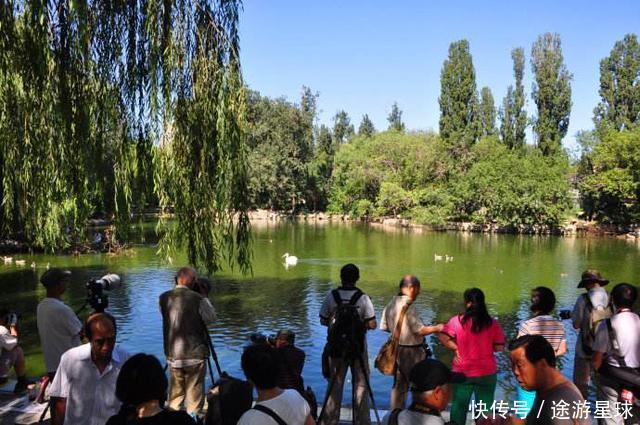 中国每天都在上演“纽约人在北京”，美国青年竟这样看！