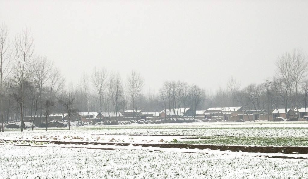 “一九一场雪, 猪狗不吃黑”, 这句农村俗语有道理吗?