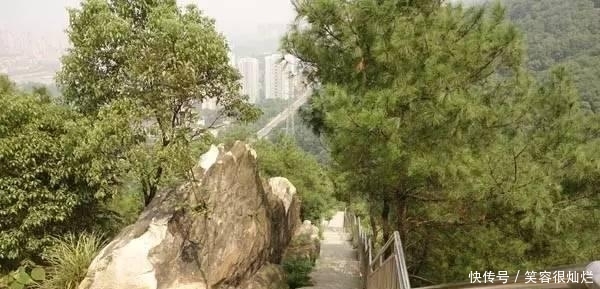 t013e8766c999e5f693.jpg?size=600x289