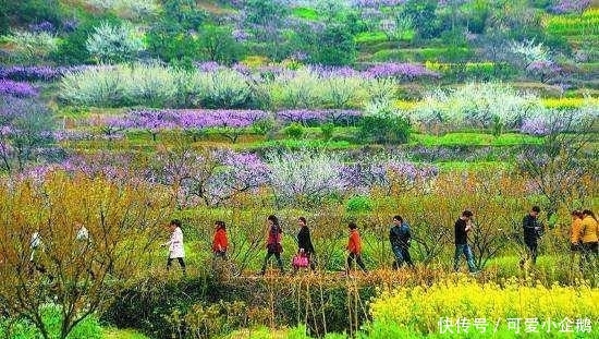 继农村养殖场、砖厂被关停后, 下一个, 终于到它了!