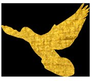 局地降水量超150毫米！新一轮强降雨马上就到！全省严阵以待做好