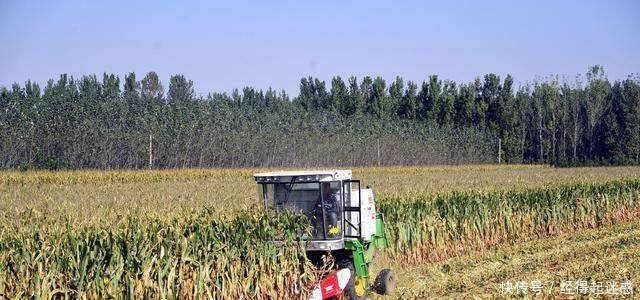 明年起农业补贴新规出台，今后这些农民将无法领取补贴了！