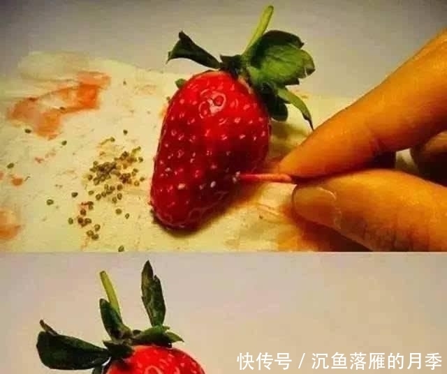 草莓■阳台上盆栽草莓,好吃好种又好看,结的果子四季吃不完!