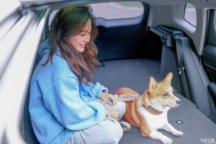 「Pro」开着宋Pro与老婆去遛狗,春暖花开,美好生活在身旁