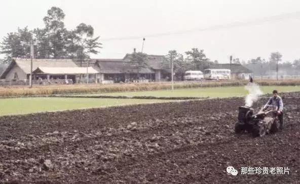 回顾1979年代的中国老照片