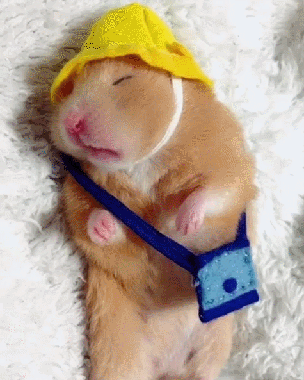 304_380竖版 竖屏gif 动态图 动图