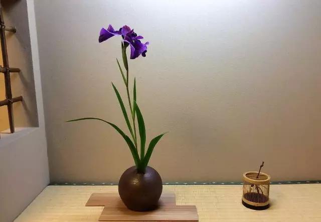  『阵子』42例插花欣赏！一辈子，总要插一次花！