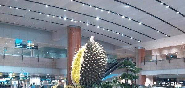  中国@世界前五机场，中国有两个，第三个是全球唯一五星级机场