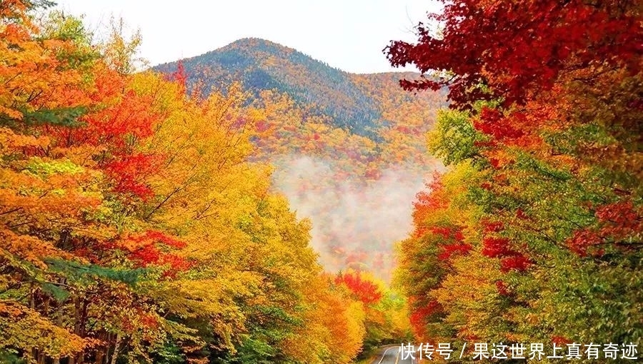 从波士顿出发，在房车里露营看红叶