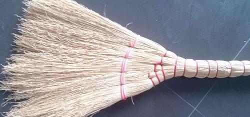 世界上最憋屈的植物，它在日本价格非常昂贵，在中国却用来当扫把