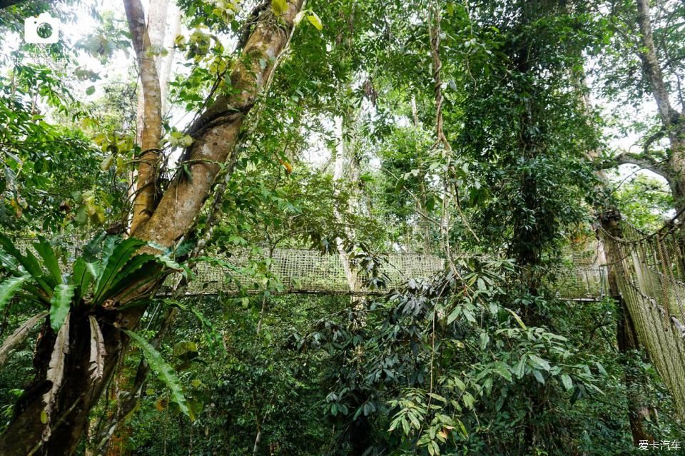  西双版纳@绿水青山就是金山银山，去西双版纳过泼水节！