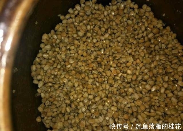 野生大鲤鱼■钓友野钓连竿上大鲤鱼居然还不满意?这位钓友到底是怎么了?