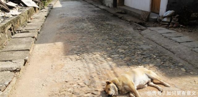 广东一座名字相当霸气的县级市