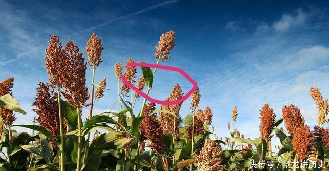  「铅坠」这些“不花钱”的渔具，用过的人都老了，你用过几种！