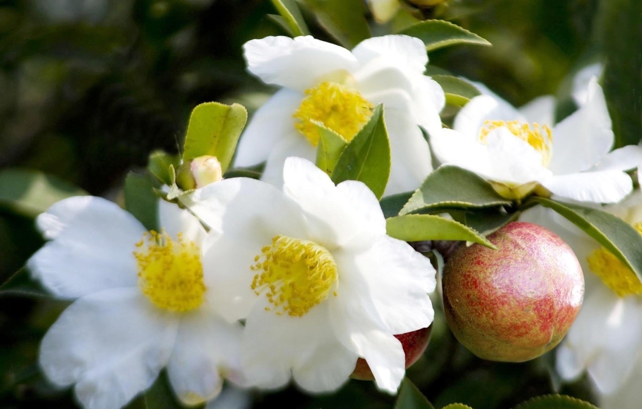  「旺盛」四月份，桃花旺盛，喜从天降，好运不断爱情归来的星座