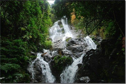 刚刚公布!云南这4个地方被国家看上，成为康养城市!有你在的地方