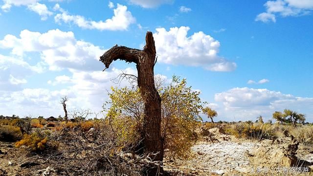 为什么去西藏旅游的人多而去新疆的人少