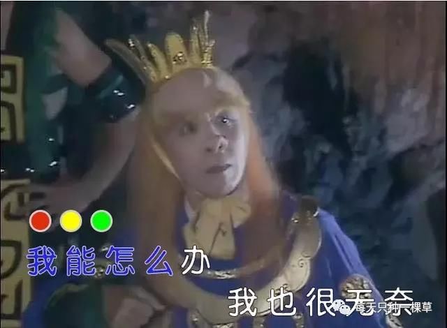 经验贴|土妞变仙女,这三年我都经历了什么?