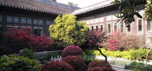  「花园」园艺，院子里到处都是美丽的地方