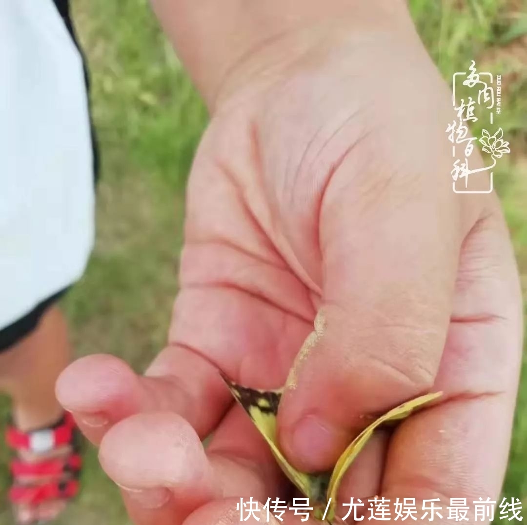 『那种』我爱的,就是你的存在!只要努力该来的都在路上!