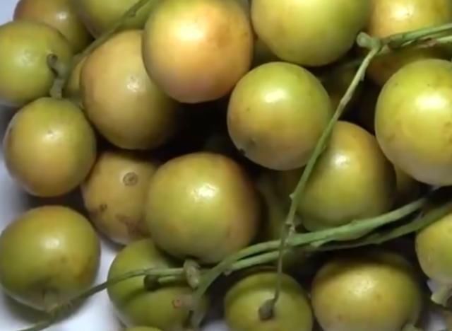  「果子」一种果子生长在山上，开花结果需要2年，如今农民大量种