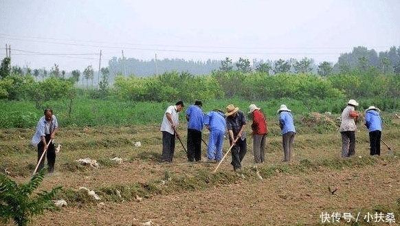 2019年农民永久退地每亩补多少钱? 4万还是10万? 需要啥条件?