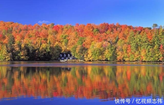 世界赏枫高阶指南｜日本与加拿大到底去哪一个