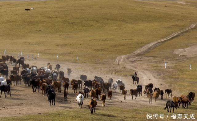 亚洲最大、世界第二大的军马场，竟是霍去病征战匈奴时发现的