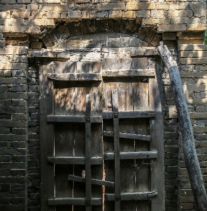  树木@农村老家的树木大家的门，渐渐消失了，难道还有回忆吗