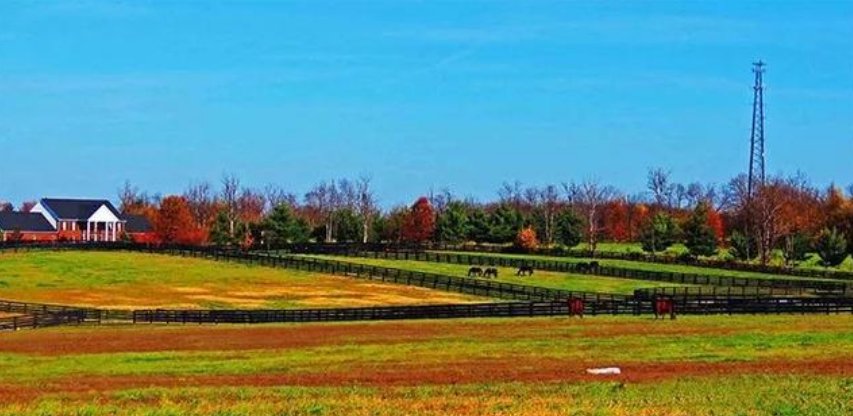  未来|未来农村很有“钱途”的几种行业，或许有一个能成为你的出