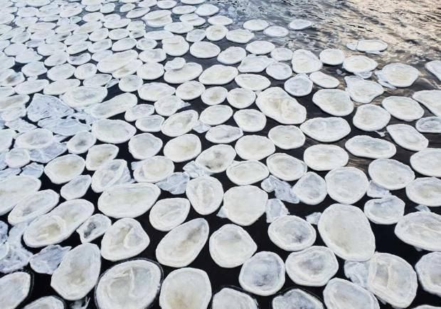 奇特天气现象：芬兰海滩被成千上万冰蛋覆盖，英国曾出现过冰煎饼