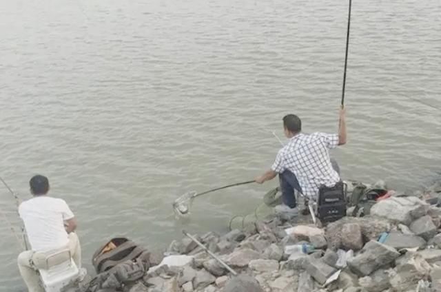 初夏一到，大板鲫按我这样钓，千真万确，天气再热也照样狂拉