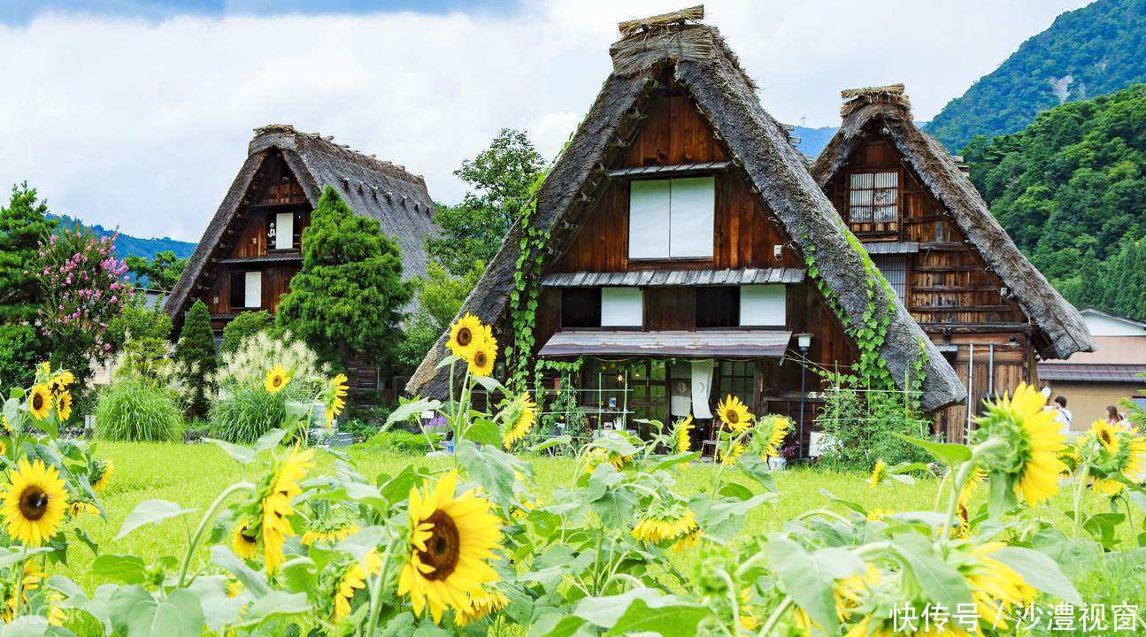  #日本#日本农民当不起穷人，农村人生活反而使人羡慕!