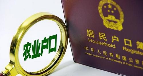 在农村，是“分户”好还是“不分户”好呢？