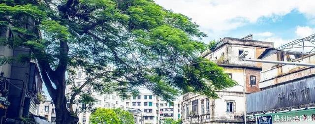 中国最“可怜”的城市，与深圳一样是经济特区，却被一分为三