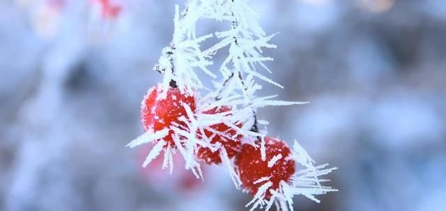  「俗语」“冬在尾提防倒春寒”，今年过年冷不冷？老农俗语已有