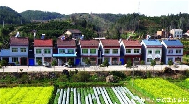  [农民朋友]农村承包地将全面“合并”，实行“一户一田”，真的