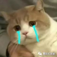 「 听说」97%都是冒牌的，你被“假网红”骗过吗？听说北京的网红店